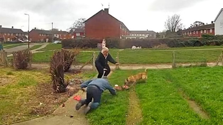 Σκύλος εκτός ελέγχου επιτέθηκε βάναυσα σε ένα dachshund (Προσοχή: Σκληρές Εικόνες)