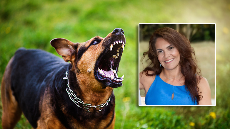 «Γνώριζε ότι τα σκυλιά ήταν άγρια και αδιαφόρησε»