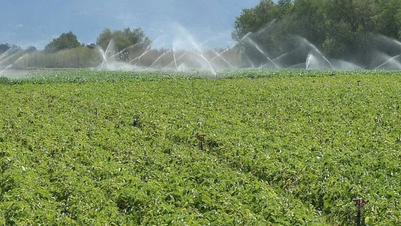 Agrotica: Τα οφέλη της Γεωργίας Διατήρησης Εδαφών