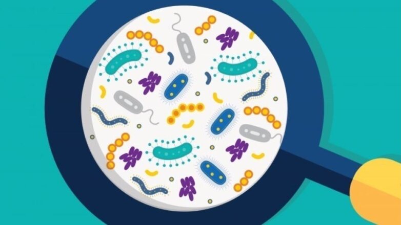 Τα συντηρητικά των τροφίμων μπορεί να έχουν επιπτώσεις στο μικροβίωμα του εντέρου