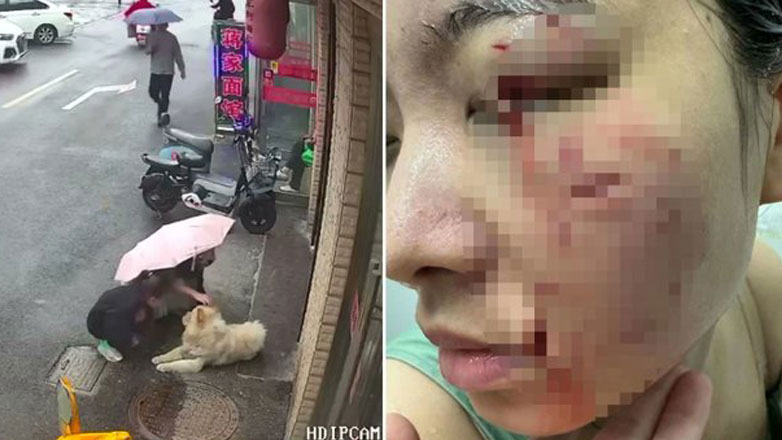 Γιατί δεν πρέπει να πλησιάζουμε τυχαία κάποια ζώα…