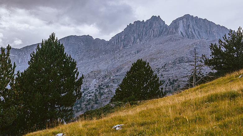Βιομηχανική Περιοχή «Οι 12 Θεοί» (με σήμα τον Ήφαιστο)