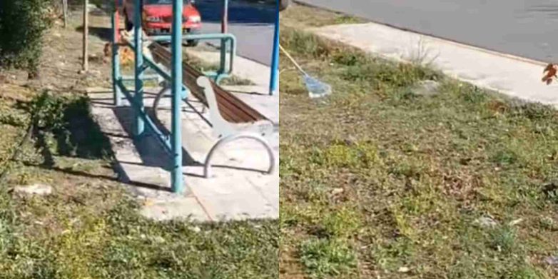 Δήμος Διονύσου: Έσπευσε να διορθώσει τα κακώς κείμενα μετά το δημοσίευμα της «Ζούγκλας» Δήμος Διονύσου: Έσπευσε να διορθώσει τα κακώς κείμενα μετά το δημοσίευμα της «Ζούγκλας»