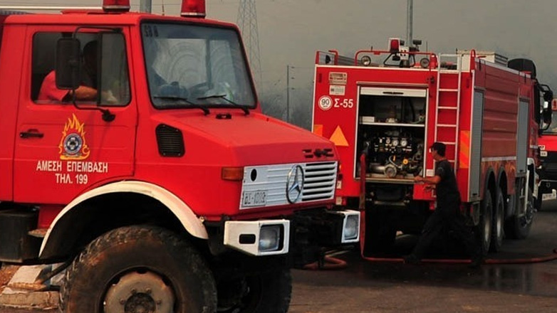 Εύβοια: Στις φλόγες υδροβιότοπος στα Κανατάδικα