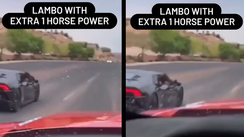Lamborghini: +1 άλογο ιπποδύναμη