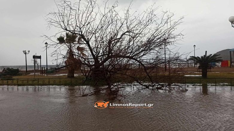 Λήμνος: Χωρίς ρεύμα το μισό νησί λόγω της κακοκαιρίας – Ξεριζώθηκαν δέντρα