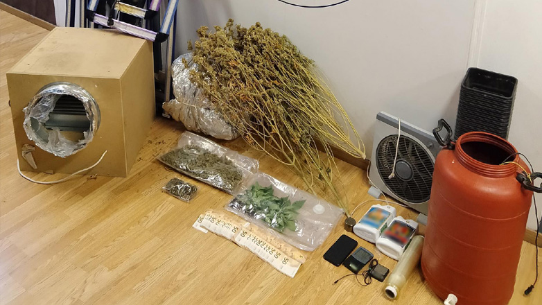 Συνελήφθη 42χρονος για καλλιέργεια δενδρυλλίων κάνναβης στο Κορωπί