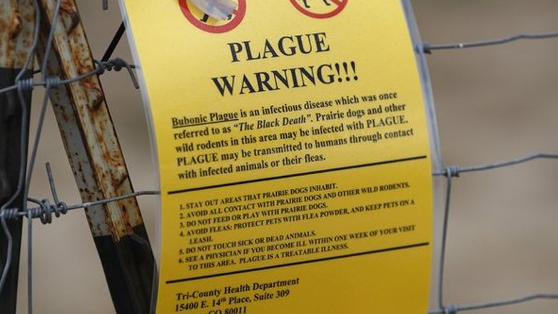 Σπάνιο κρούσμα βουβωνικής πανώλης επιβεβαιώθηκε στις ΗΠΑ Σπάνιο κρούσμα βουβωνικής πανώλης επιβεβαιώθηκε στις ΗΠΑ