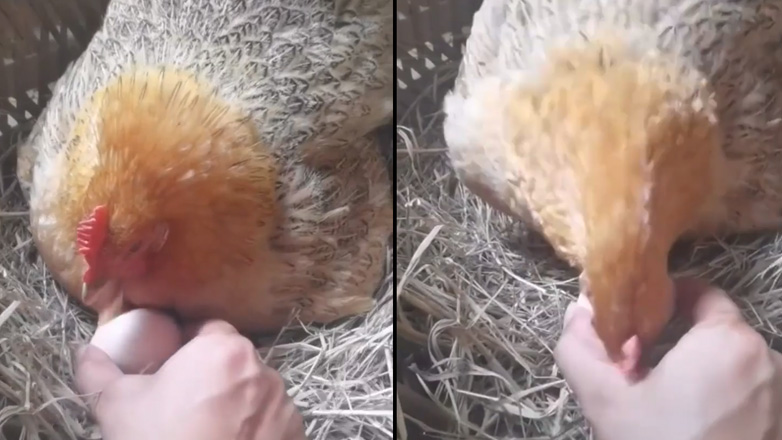 Διαφθορά για αρχάριους