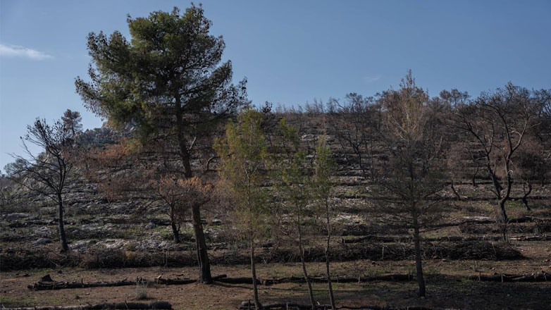 ΤΕΡΝΑ: Χρηματοδότηση αντιδιαβρωτικών έργων 1 εκατ. ευρώ στις πληγείσες από τις πυρκαγιές περιοχές της Μάνδρας