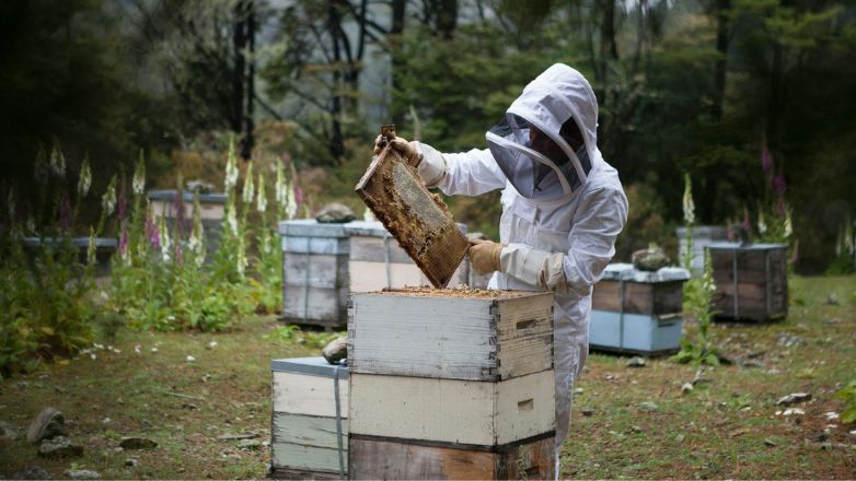 Μελισσοκόμοι: Πανελλαδική κινητοποίηση στην Αθήνα αύριο Πέμπτη