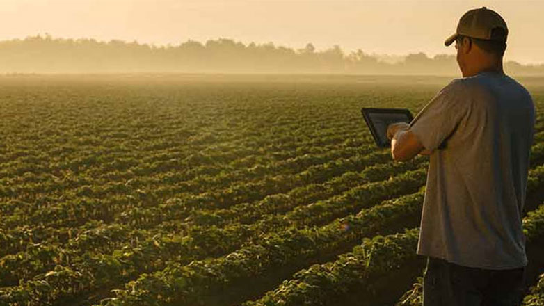 Αγρότες: Απαλλαγή από την υποχρέωση της αγρανάπαυσης
