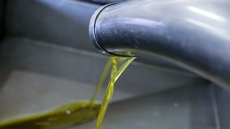 Κρήτη: Έκλεψαν πάνω από μισό τόνο ελαιολάδου στο Λασίθι – Δύο συλλήψεις