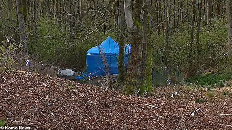 Άστεγος χτίζει καλύβι σε δημόσιο πάρκο του Σιάτλ και σκάβει με εκσκαφέα για να βρει θησαυρό