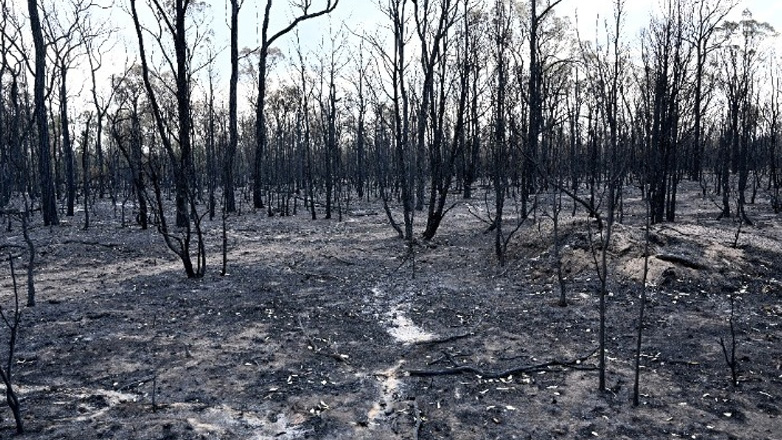Αυστραλία: Στις φλόγες σπίτια από τις πυρκαγιές στην πολιτεία Βικτόρια