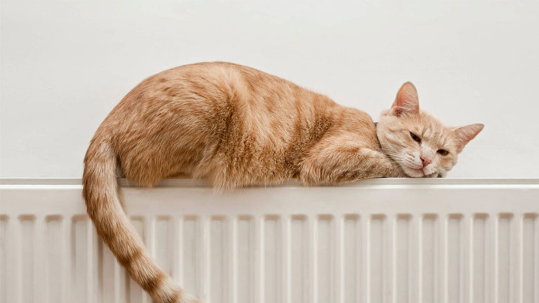 Ποια είναι η ιδανική θερμοκρασία στο σπίτι για το κατοικίδιο μας