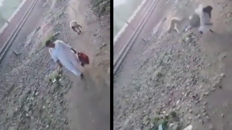 Δέχθηκε ύπουλη κλωτσιά κουνγκ φου από μια μαϊμού