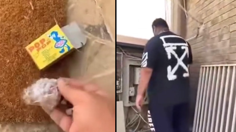 Φάρσα με σκορδάκια