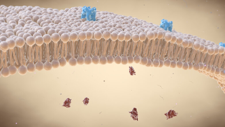 Νέα μελέτη δείχνει το ρόλο της χοληστερόλης στην αντίληψη του πόνου