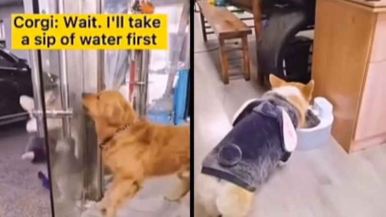 Κάτσε γιατί δίψασα, μην φύγεις