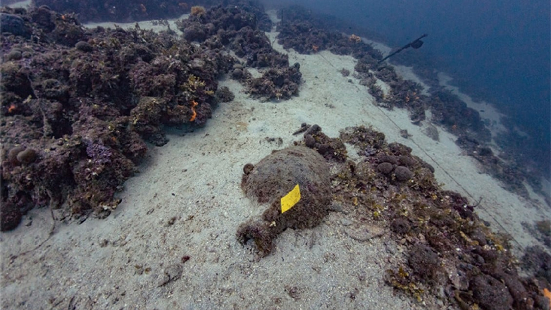 Οργανωμένες επισκέψεις στους Ενάλιους Αρχαιολογικούς Χώρους