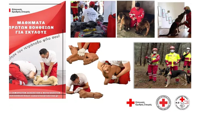 Σεμινάρια πρώτων βοηθειών για ζώα συντροφιάς στη Θεσσαλονίκη