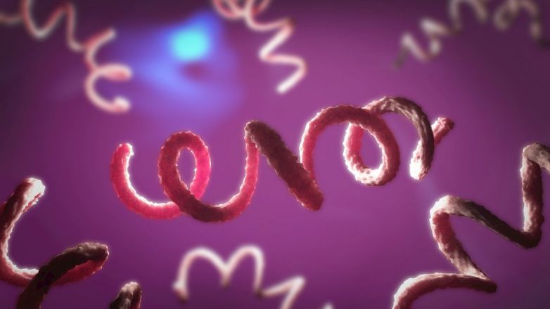 Σύφιλη: Κατανόηση της πρόσφατης αύξησης των κρουσμάτων