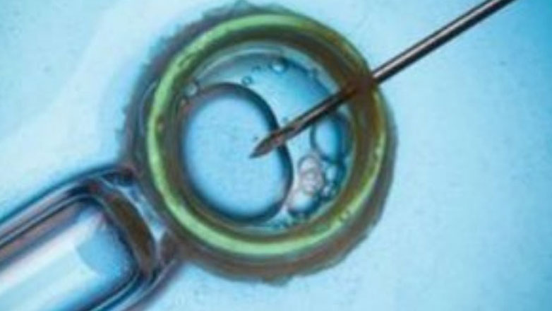 Για πρώτη φορά στην Ελλάδα επιτεύχθηκε εγκυμοσύνη μετά από μεταμόσχευση κρυοσυντηρημένου ωοθηκικού ιστού