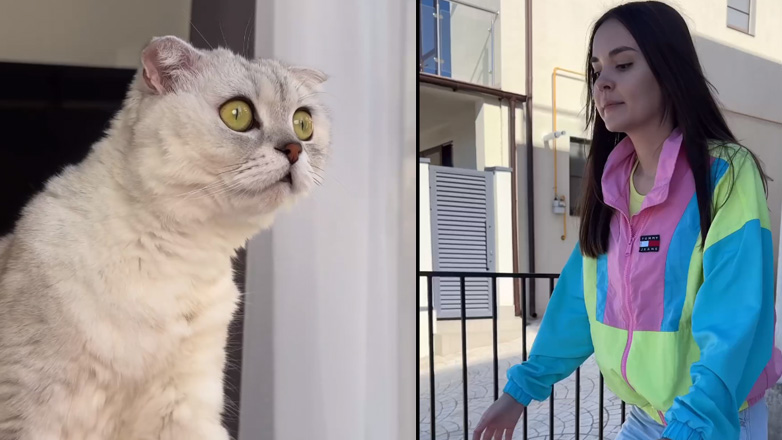 Μια πολύ ζηλιάρα γάτα