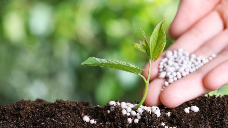 Αγώνας δρόμου από εταιρείες για την παραγωγή πράσινης αμμωνίας