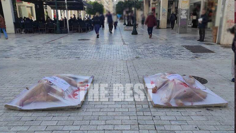 Σοκαριστικό θέαμα στο κέντρο της Πάτρας- Η διαμαρτυρία για τη σφαγή των ζώων λόγω Τσικνοπέμπτης