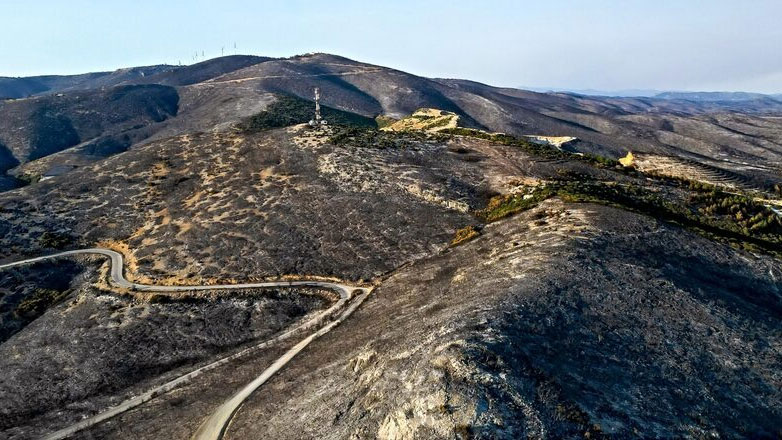 Έβρος: Οι επιπτώσεις της πυρκαγιάς και η επόμενη ημέρα