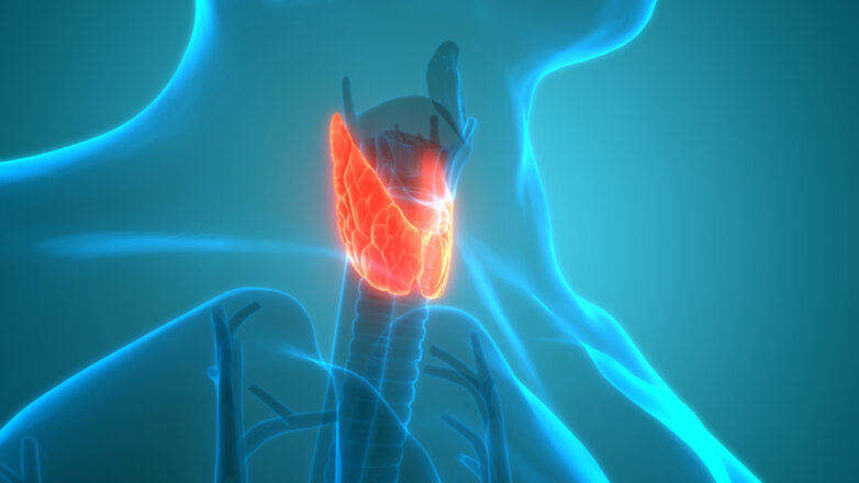 Καρκίνος θυρεοειδούς: Ποιες ουσίες πρέπει να αποφεύγονται;