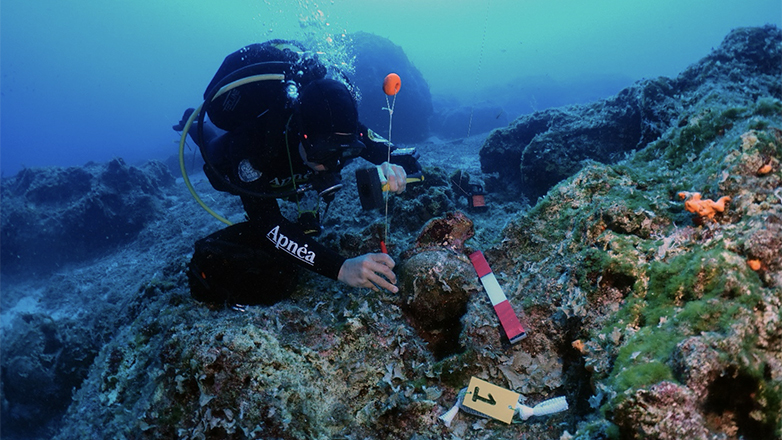 Υποβρύχια αρχαιολογική έρευνα στη θαλάσσια περιοχή της Κάσου – Δείτε τις εντυπωσιακές εικόνες