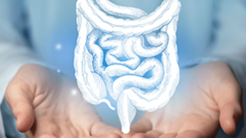 Καρκίνος παχέος εντέρου: Γιατί είναι απαραίτητη η κολονοσκόπηση