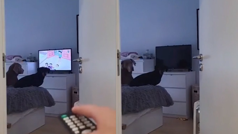 Γιατί έκλεισες την τηλεόραση;