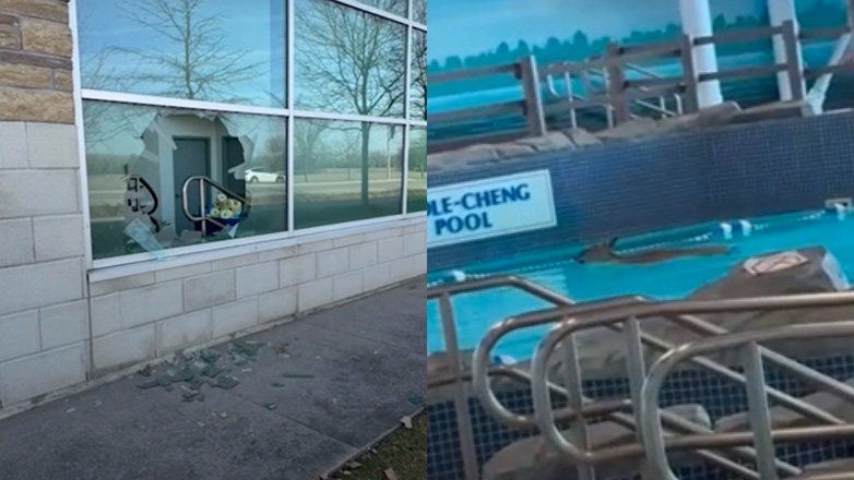 Ελάφι εισβάλει σε κέντρο αναψυχής και βουτά σε πισίνα