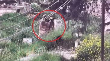 Ισραήλ: Παλαιστίνιος άνοιξε πυρ μέσα από νεκροταφείο κατά εβραϊκού οικισμού