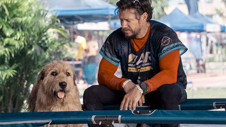 Ο Μαρκ Γουόλμπεργκ για τον σκύλο συμπρωταγωνιστή του: «Το να βλέπω πόσο δυνατή ήταν η ερμηνεία του ήταν φοβερό»