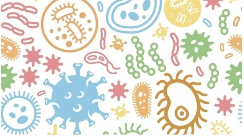 Οι βιομηχανικές κοινωνίες χάνουν υγιή μικρόβια του εντέρου, διαπιστώνει μελέτη Οι βιομηχανικές κοινωνίες χάνουν υγιή μικρόβια του εντέρου, διαπιστώνει μελέτη