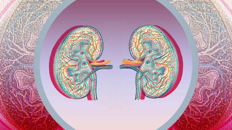 Πώς μπορεί να επηρεάσει η νεφρική νόσος τη σεξουαλικότητα ενός ατόμου;