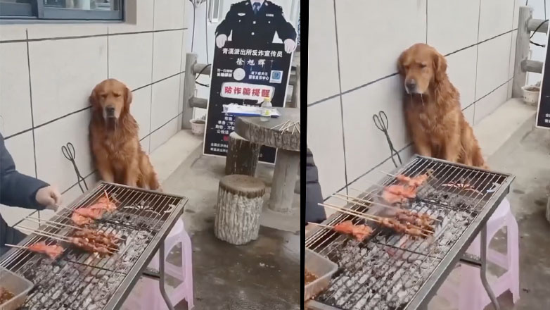 Το βασανιστήριο