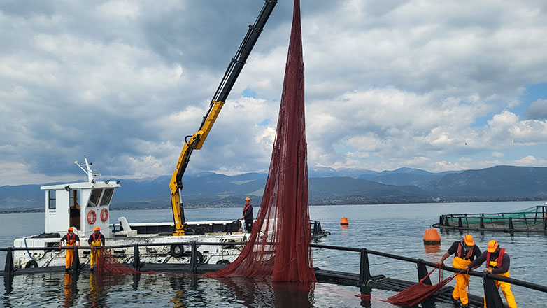 Philosofish: Στοχεύει σε τζίρο 120 εκατ. ευρώ και ενισχύει τις εξαγωγές