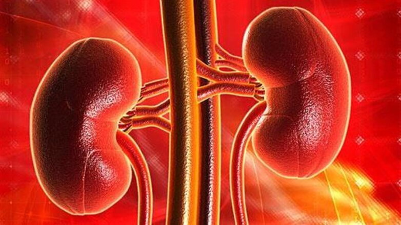 Για πρώτη φορά μεταμοσχεύθηκε νεφρό γενετικά τροποποιημένου χοίρου σε ασθενή