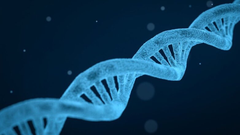 Τα κύτταρά μας είναι λιγότερο πιθανό να εκφράζουν τα μακρύτερα γονίδια καθώς γερνάμε