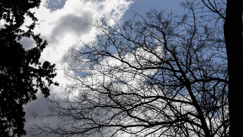 Ο καιρός σήμερα