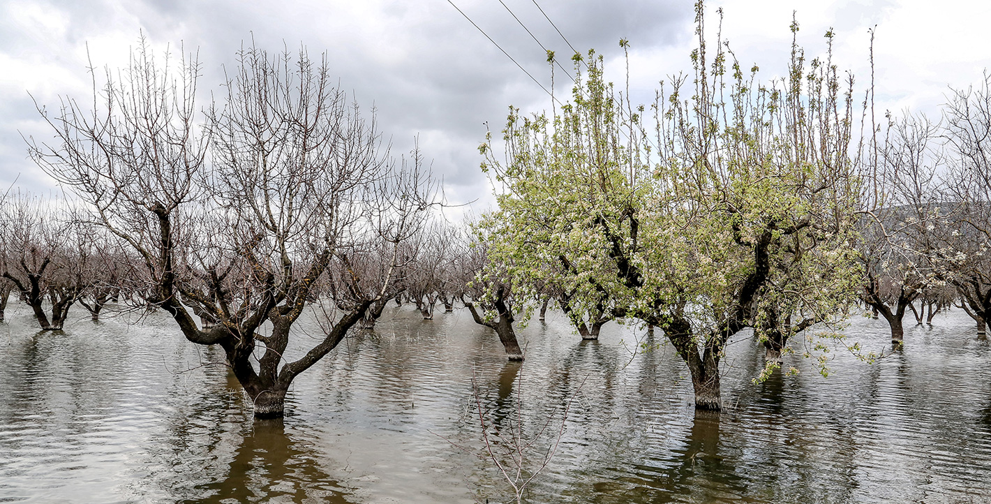 Ήρθε η άνοιξη