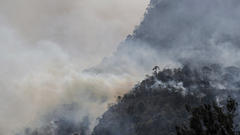 Βενεζουέλα: 12 συλλήψεις έπειτα από καταστροφικές δασικές πυρκαγιές Βενεζουέλα: 12 συλλήψεις έπειτα από καταστροφικές δασικές πυρκαγιές