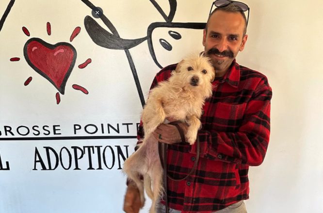 Η Μίσκα μπόρεσε να αναγνωριστεί χάρη στο ηλεκτρονικό τσιπάκι 