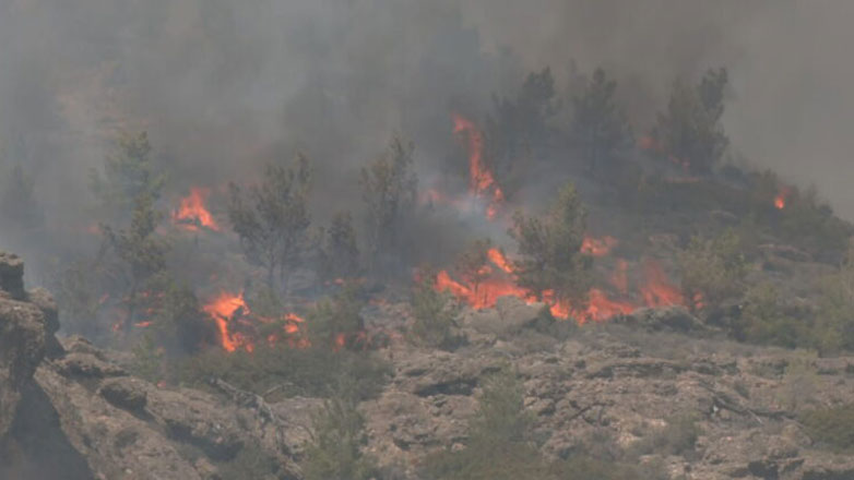 Λασίθι: Ισχυρές πυροσβεστικές δυνάμεις θα παραμείνουν όλο το βράδυ στο πεδίο